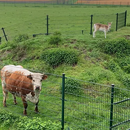 Onder Het Dak Brabant