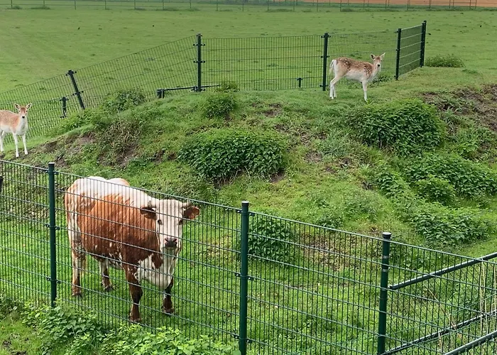 Onder Het Dak Brabant