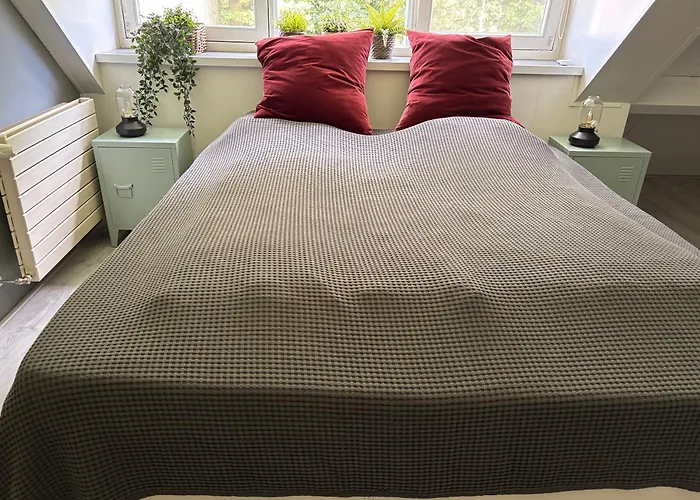 Villa Onder Het Dak Brabant *