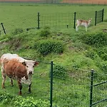 Onder Het Dak Brabant